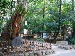 神戸　生田神社