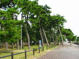 須磨海浜公園2